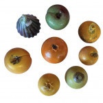 Collection of Gozo hand blown fruit