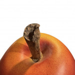 Mid century Italian pottery pear