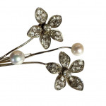 19th century silver and paste en tremblant brooch