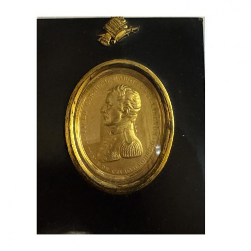 Duke of Wellington plaque by Thomas Halliday