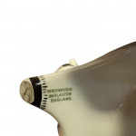 Pair of Arnold Machin Taurus bulls