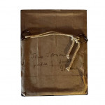 Ebony framed silhouette