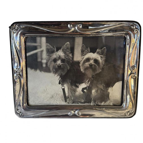 Silver Art Nouveau style picture frame