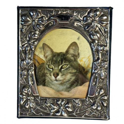 Silver picture frame