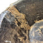 Large wooden dairy bowl