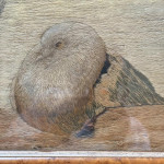 Georgian silkwork picture of pigeons