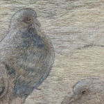 Georgian silkwork picture of pigeons