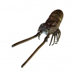 Pair of Meiji bronze crayfish
