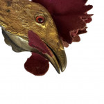 Chicken form desk clip