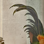 A Chinese Export reverse painted mirror