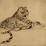 An etching of a jaguar by Warwick Reynolds (1880 - 1926)