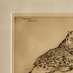 An etching of a jaguar by Warwick Reynolds (1880 - 1926)