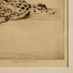 An etching of a jaguar by Warwick Reynolds (1880 - 1926)