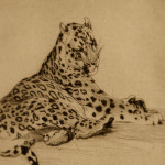 An etching of a jaguar by Warwick Reynolds (1880 - 1926)