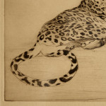 An etching of a jaguar by Warwick Reynolds (1880 - 1926)