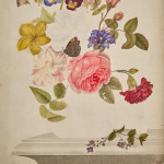 A colour pencil and watercolour still life by Thomas Remnant Charleton (1756-1849)