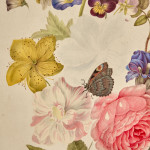 A colour pencil and watercolour still life by Thomas Remnant Charleton (1756-1849)