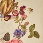 A colour pencil and watercolour still life by Thomas Remnant Charleton (1756-1849)