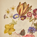 A colour pencil and watercolour still life by Thomas Remnant Charleton (1756-1849)