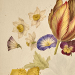 A colour pencil and watercolour still life by Thomas Remnant Charleton (1756-1849)