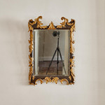 A rectangular mirror with an ebonised and parcel gilt carved frame