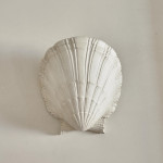 A plaster scallop shell sconce by Serge Roche (1898 - 1988)