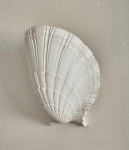 A plaster scallop shell sconce by Serge Roche (1898 - 1988)