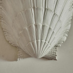 A plaster scallop shell sconce by Serge Roche (1898 - 1988)