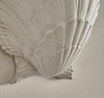 A plaster scallop shell sconce by Serge Roche (1898 - 1988)