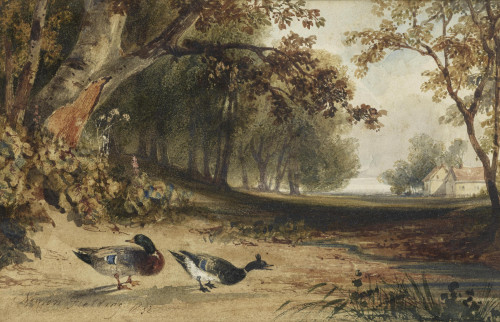 Mallard in a Country Landscape