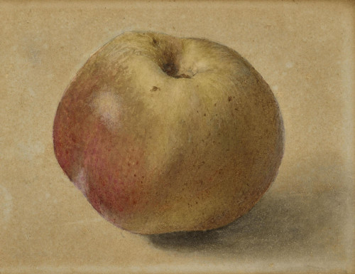Study of an Apple