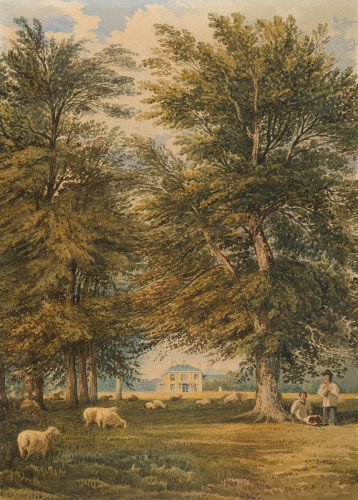 View of Polesden Lacey, Surrey through Trees