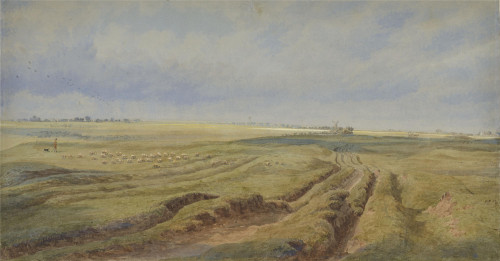 Study from Nature at Bullingdon Green near Oxford