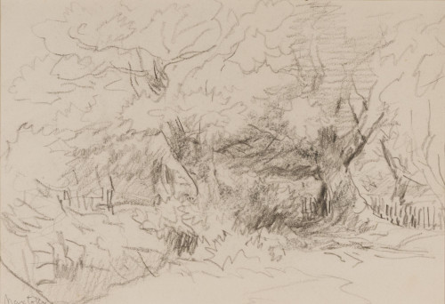 Trees at Maxstoke, Warwickshire