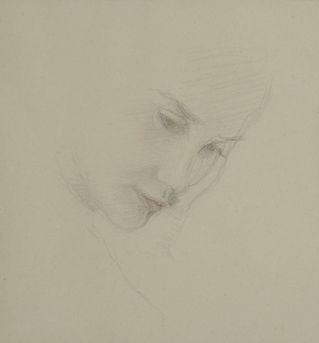 Study of the Head of a Woman