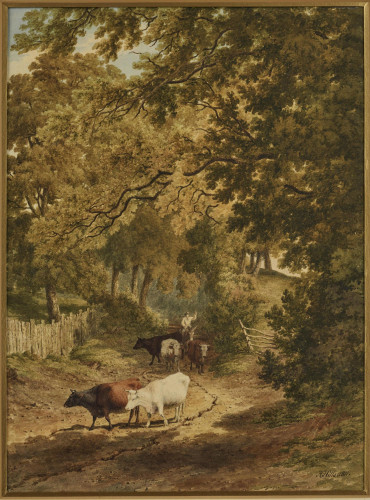 Cowherd on a Country Track