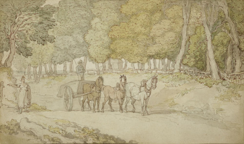 Gentleman driving a Cart along a woodland Track