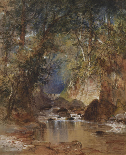 A wooded River, Devon