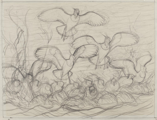 Study of Lapwings in Flight