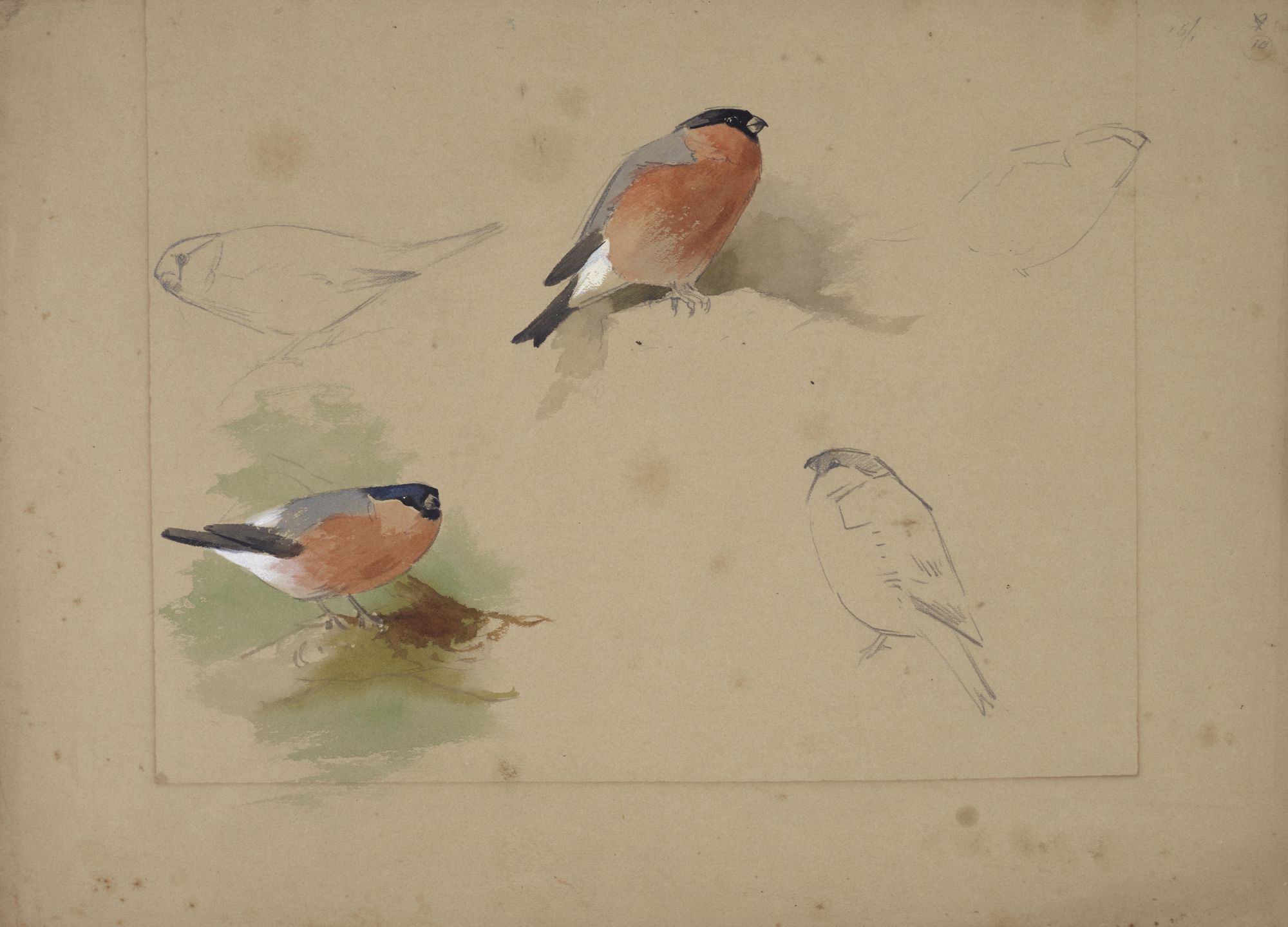 Archibald Thorburn