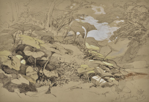 Study on the Greta, Yorkshire, 2nd September 1839