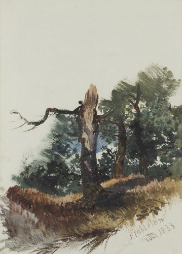Trees at Stapleton, Bristol, 1818