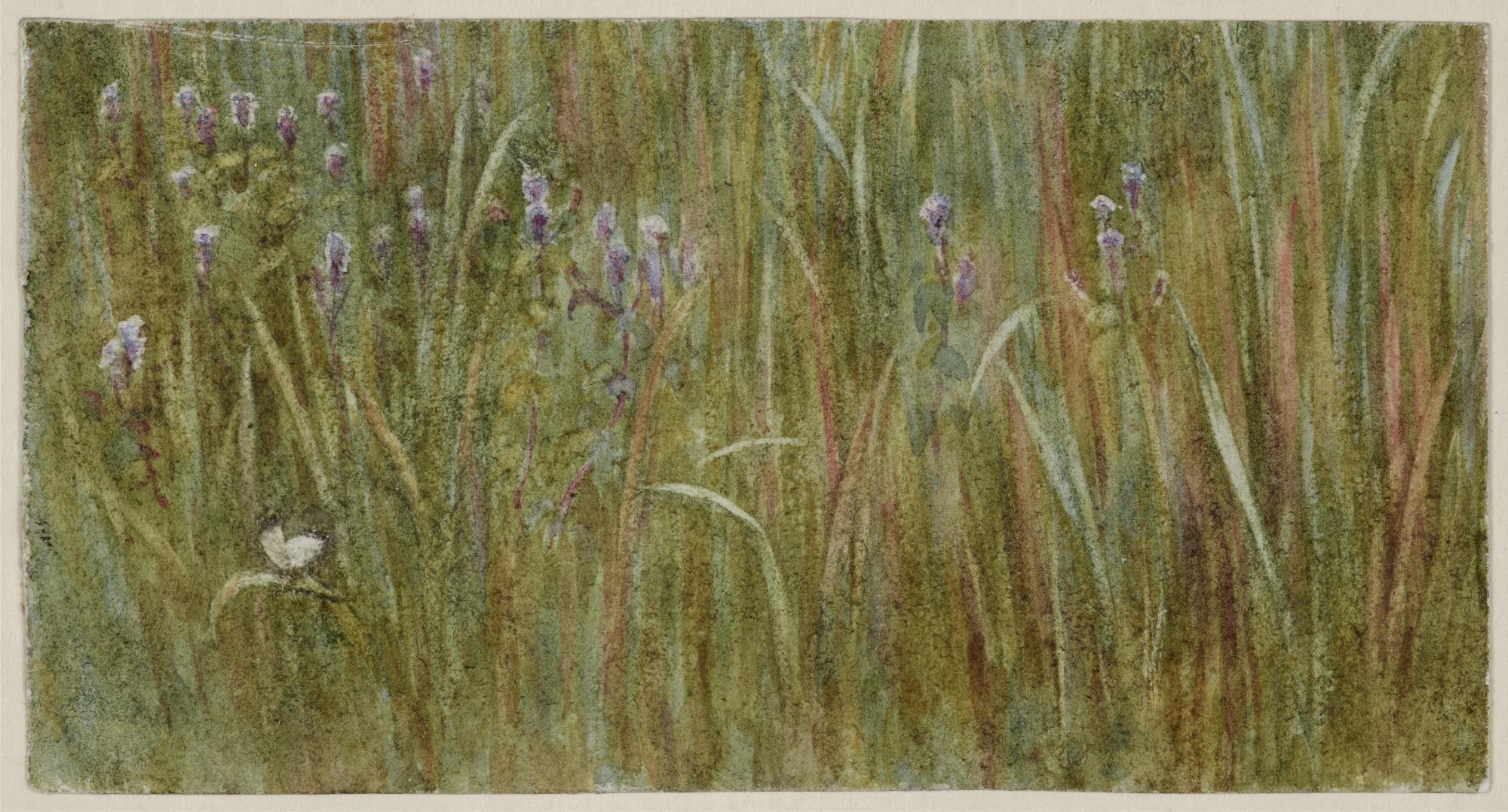 Helen Allingham