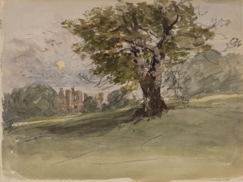 A Study of an Oak Tree, Kenilworth Castle beyond