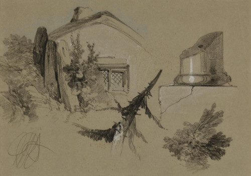 Studies of Nature