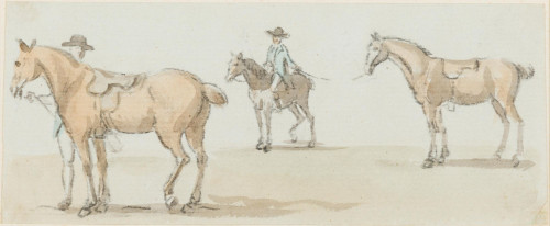 Study of Horses