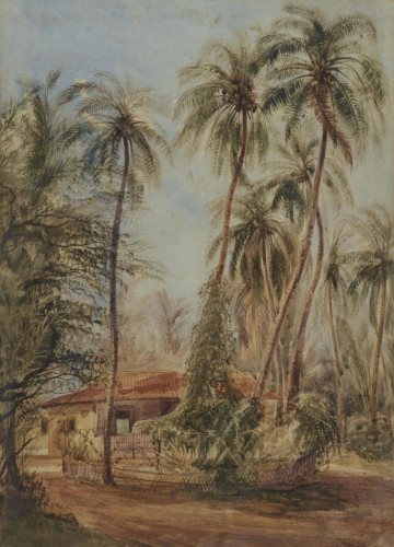 A Bungalow, Sri Lanka