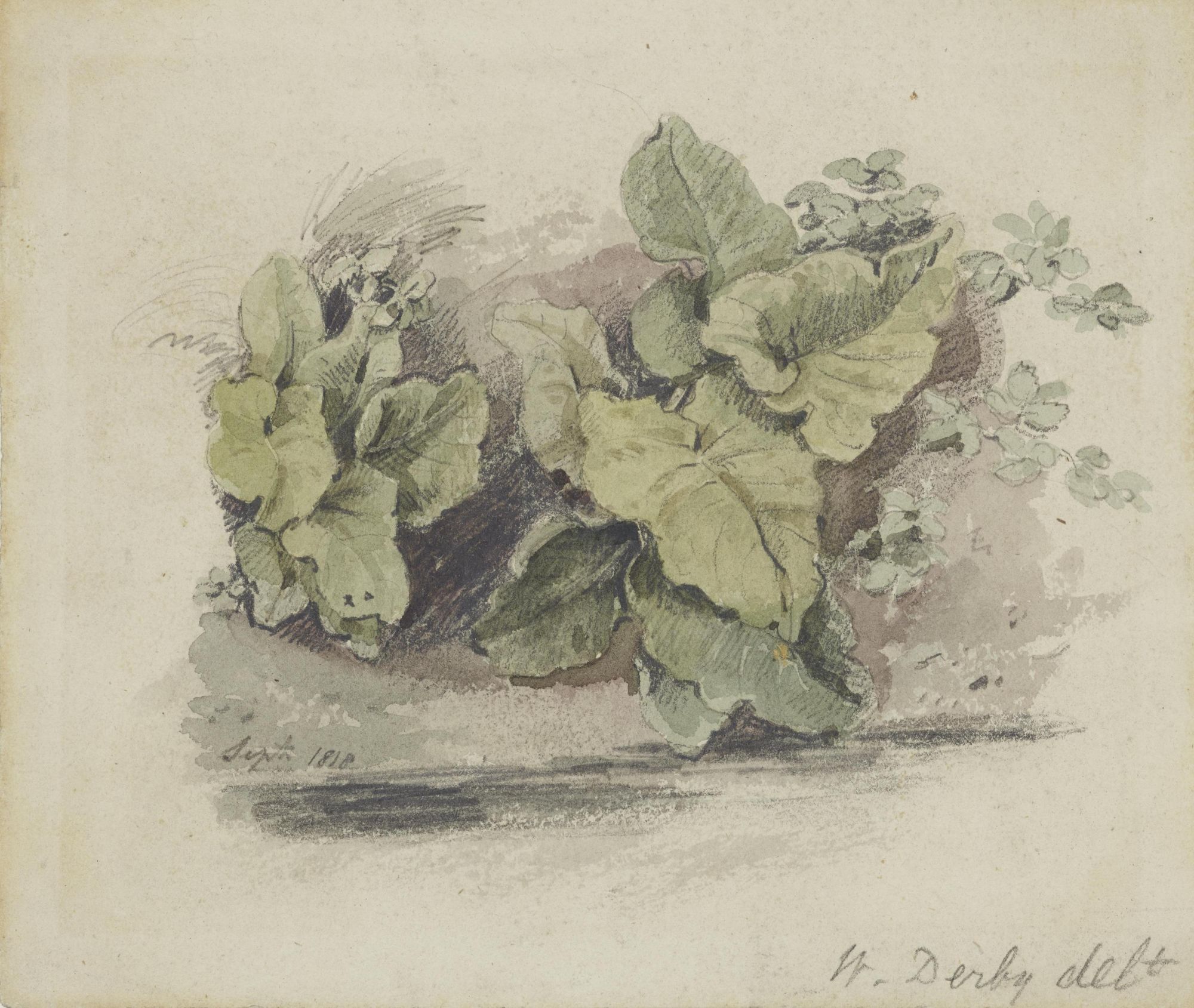 William Derby
