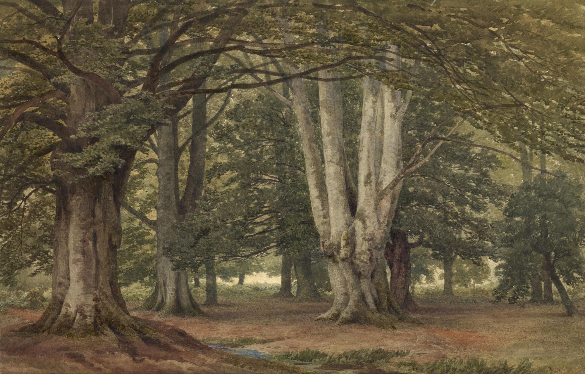 Frederick Richard Lee