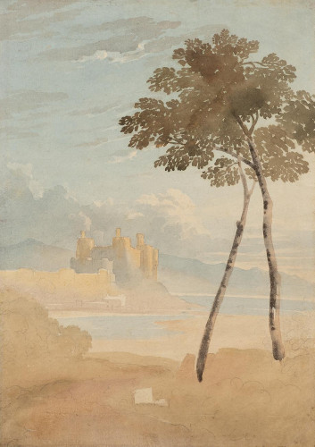 Study of a Tree near Conway Castle, North Wales